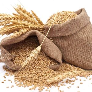 wheat
