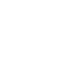 check mark (1)